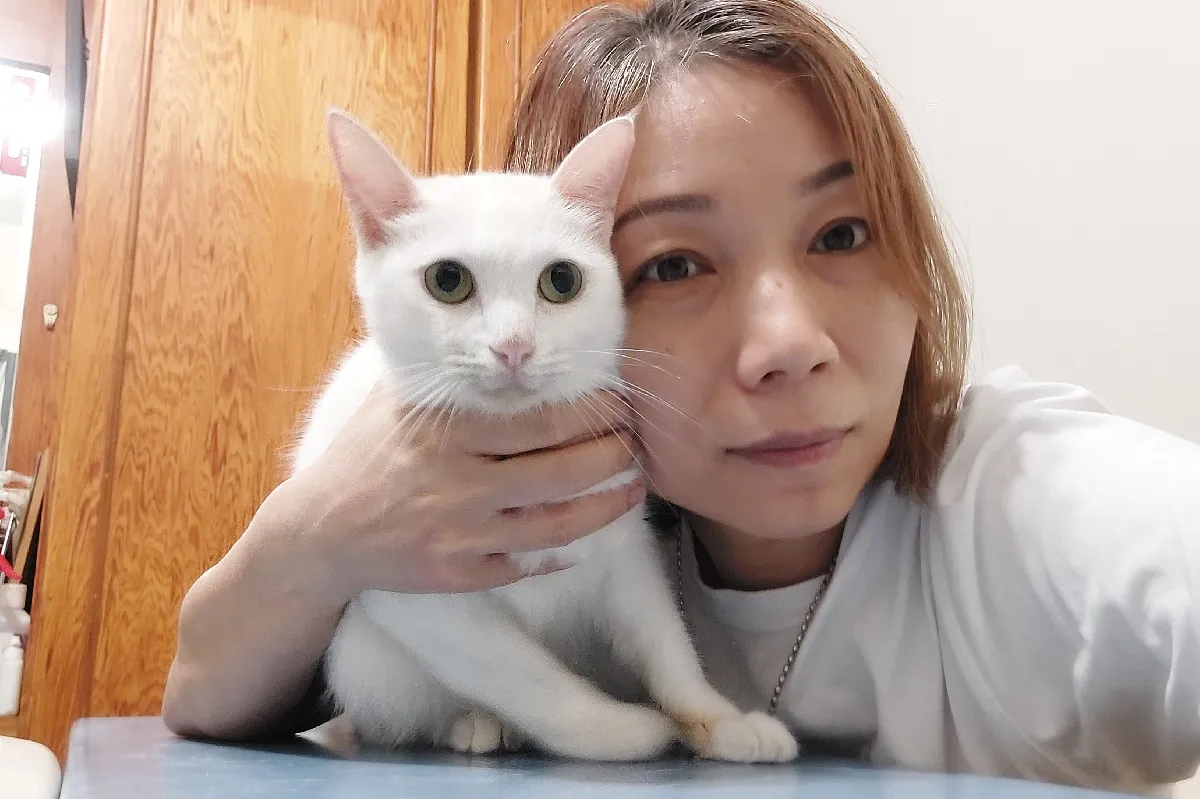 致伊人 致伊人